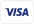 visa icon